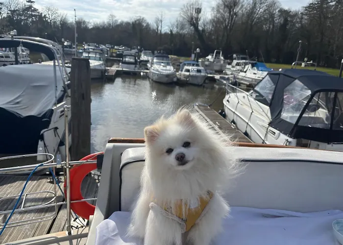 Riverside Boat Retreat On The River Thames